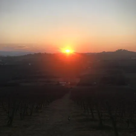 La Crusetta לינה וארוחת בוקר San Marzano Oliveto