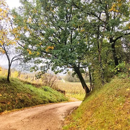 לינה וארוחת בוקר La Crusetta San Marzano Oliveto