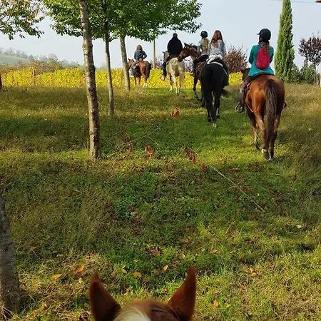 La Crusetta 3* San Marzano Oliveto