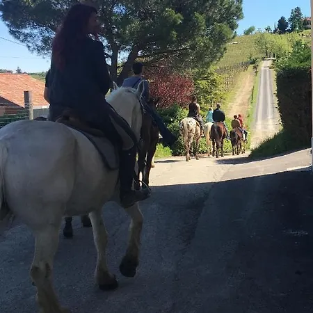 La Crusetta 3* San Marzano Oliveto