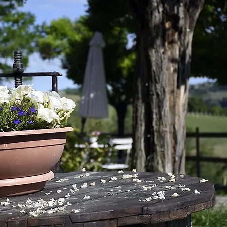 La Crusetta לינה וארוחת בוקר 4*