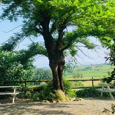 Oda ve Kahvaltı La Crusetta San Marzano Oliveto
