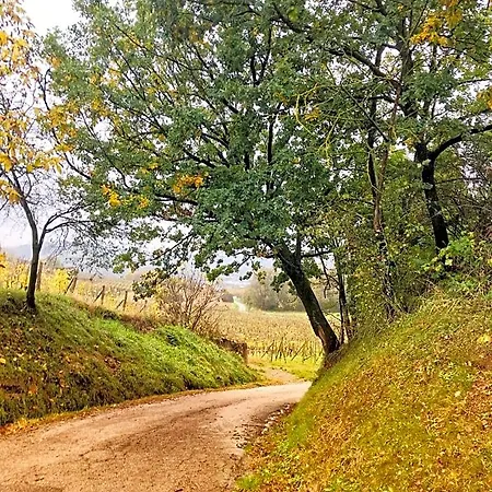 Bed and breakfast La Crusetta San Marzano Oliveto