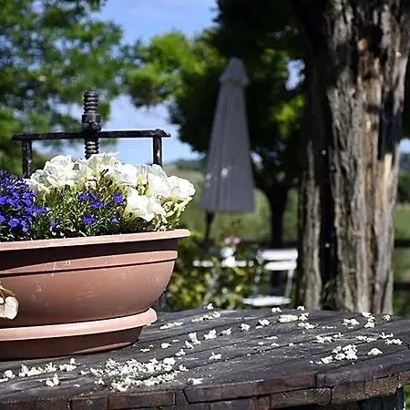 Bed and breakfast La Crusetta San Marzano Oliveto