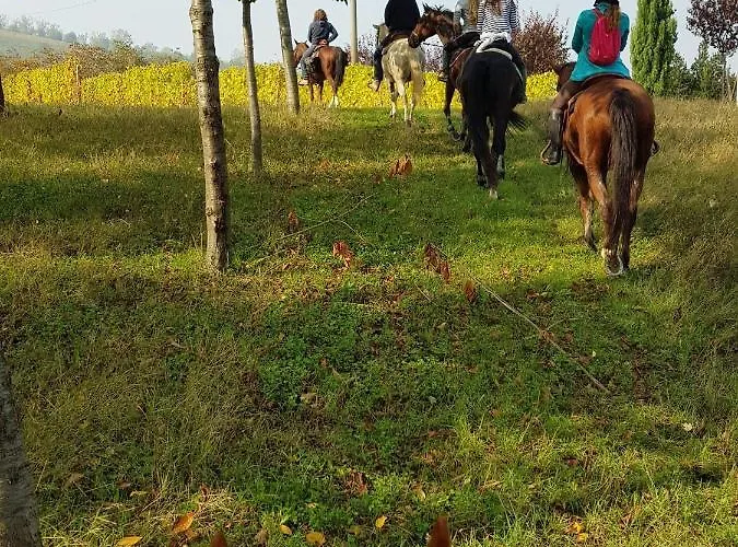 La Crusetta 3* San Marzano Oliveto