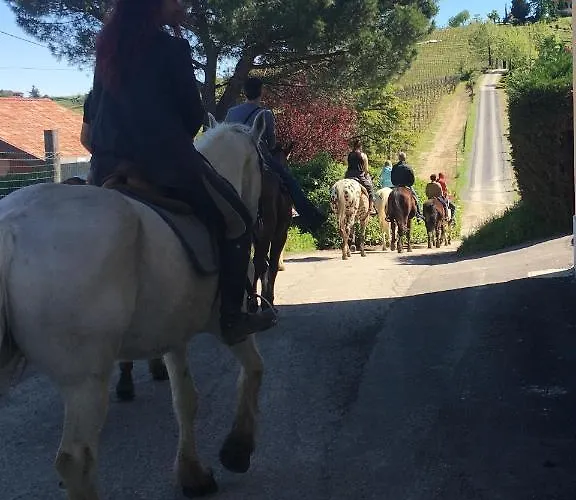 La Crusetta 3* San Marzano Oliveto