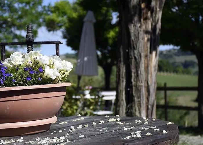 La Crusetta 住宿加早餐酒店 4*